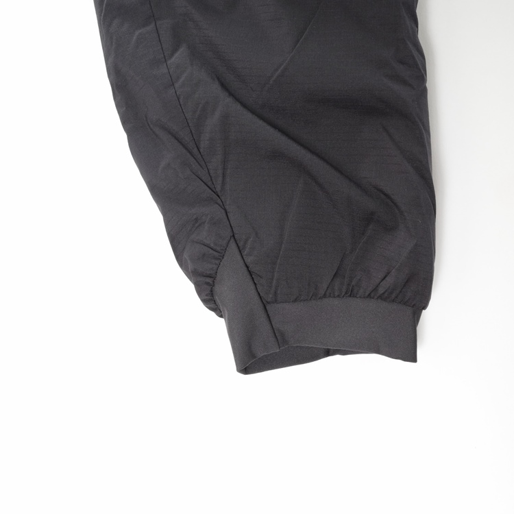 ARC'TERYXʥƥꥯAtom AR Hoody (ȥ AR աǥ)