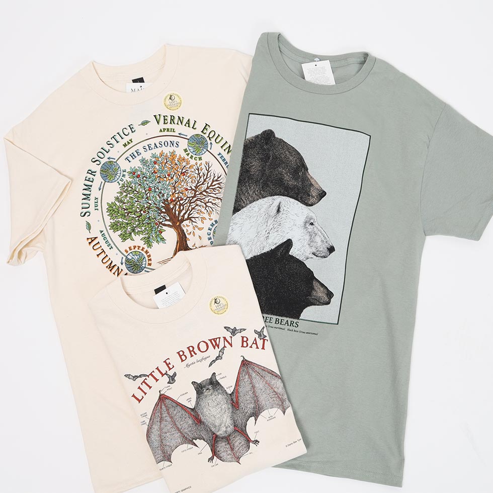 LIBERTY GRAPHICS Tシャツ入荷 | TWOPEDAL (ツーペダル)